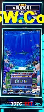 Spaceman Game 3976 Bet